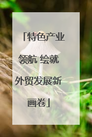 特色产业领航 绘就外贸发展新画卷