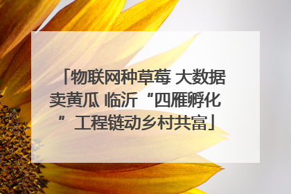 物联网种草莓 大数据卖黄瓜 临沂“四雁孵化”工程链动乡村共富