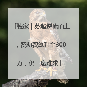 独家｜苏超逆流而上，赞助费飙升至300万，仍一席难求