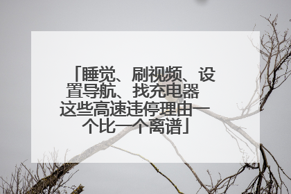 睡觉、刷视频、设置导航、找充电器 这些高速违停理由一个比一个离谱