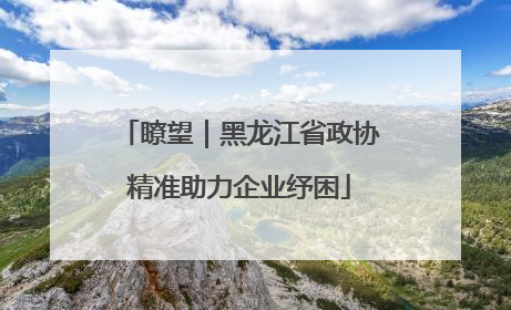 瞭望｜黑龙江省政协精准助力企业纾困