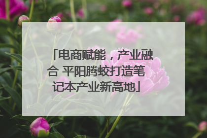电商赋能，产业融合 平阳腾蛟打造笔记本产业新高地
