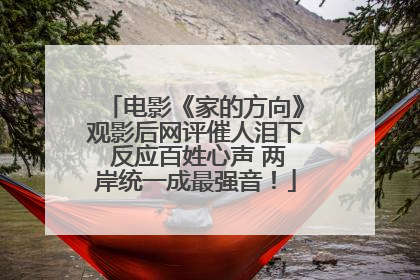 电影《家的方向》观影后网评催人泪下 反应百姓心声 两岸统一成最强音！