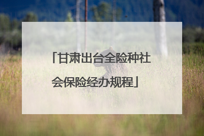 甘肃出台全险种社会保险经办规程