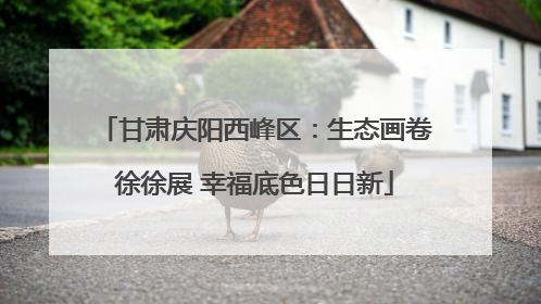 甘肃庆阳西峰区：生态画卷徐徐展 幸福底色日日新