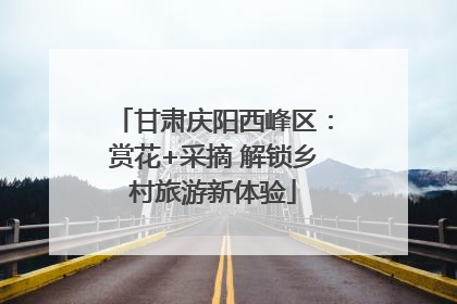 甘肃庆阳西峰区：赏花+采摘 解锁乡村旅游新体验
