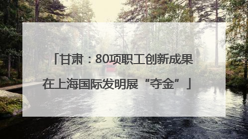 甘肃：80项职工创新成果在上海国际发明展“夺金”