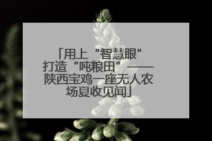 用上“智慧眼” 打造“吨粮田”——陕西宝鸡一座无人农场夏收见闻