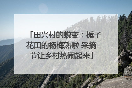 田兴村的蜕变：栀子花田的杨梅熟啦 采摘节让乡村热闹起来