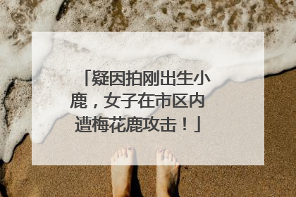 疑因拍刚出生小鹿，女子在市区内遭梅花鹿攻击！