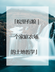 皖里有粮｜一个家庭农场的土地哲学