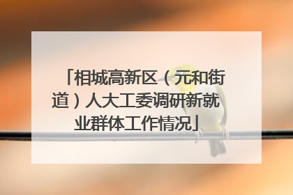 相城高新区（元和街道）人大工委调研新就业群体工作情况