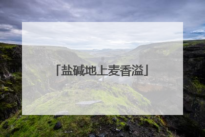盐碱地上麦香溢