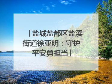 盐城盐都区盐渎街道徐亚明：守护平安勇担当