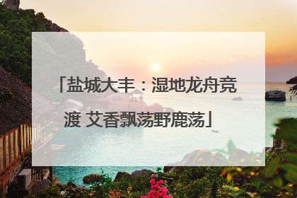盐城大丰：湿地龙舟竞渡 艾香飘荡野鹿荡