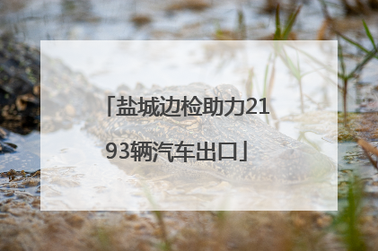 盐城边检助力2193辆汽车出口