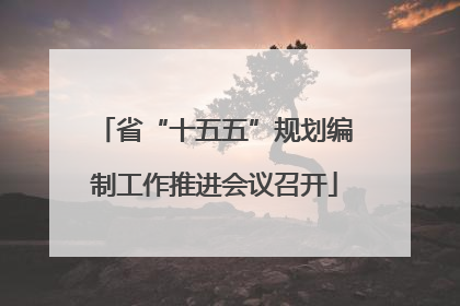 省“十五五”规划编制工作推进会议召开
