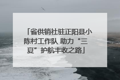 省供销社驻正阳县小陈村工作队 助力“三夏”护航丰收之路