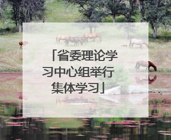 省委理论学习中心组举行集体学习