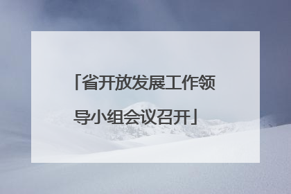 省开放发展工作领导小组会议召开