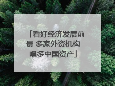 看好经济发展前景 多家外资机构唱多中国资产