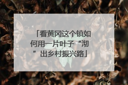 看黄冈这个镇如何用一片叶子“沏”出乡村振兴路