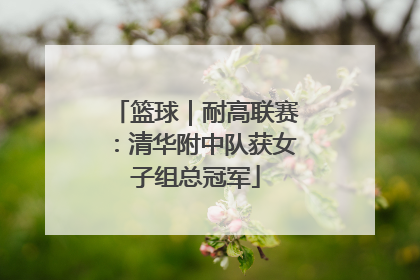 篮球｜耐高联赛：清华附中队获女子组总冠军