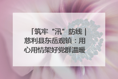 筑牢“汛”防线｜慈利县东岳观镇：用心用情架好党群温暖悠长的“连心桥”