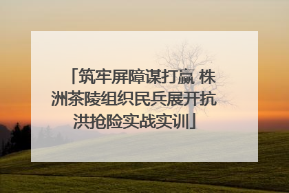 筑牢屏障谋打赢 株洲茶陵组织民兵展开抗洪抢险实战实训
