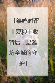 筝鸣时评丨夏粮丰收背后，是潍坊全城的守护