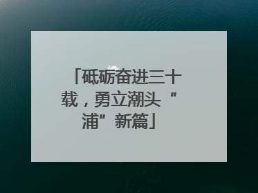 砥砺奋进三十载，勇立潮头“浦”新篇