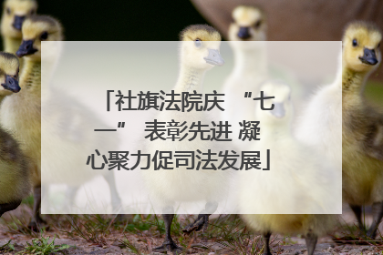 社旗法院庆 “七一” 表彰先进 凝心聚力促司法发展