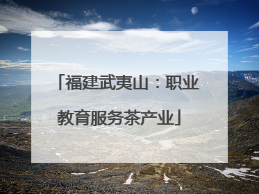 福建武夷山：职业教育服务茶产业