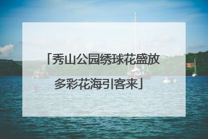 秀山公园绣球花盛放 多彩花海引客来