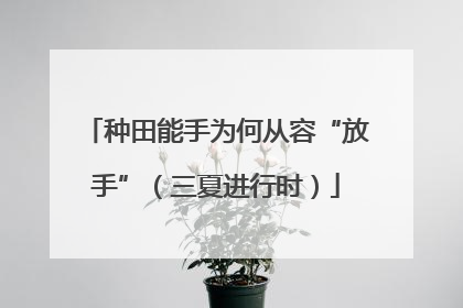 种田能手为何从容“放手”（三夏进行时）