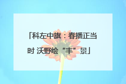 科左中旗：春播正当时 沃野绘“丰”景