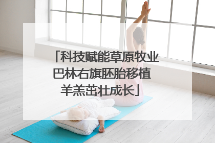 科技赋能草原牧业 巴林右旗胚胎移植羊羔茁壮成长