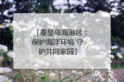 秦皇岛海港区：保护海洋环境 守护共同家园