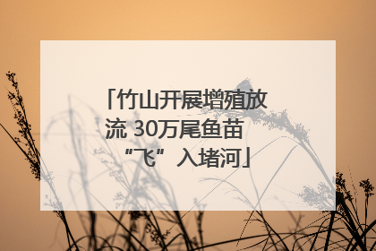 竹山开展增殖放流 30万尾鱼苗“飞”入堵河