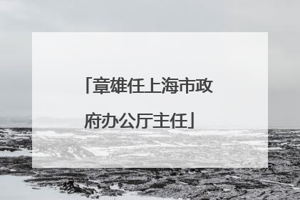 章雄任上海市政府办公厅主任