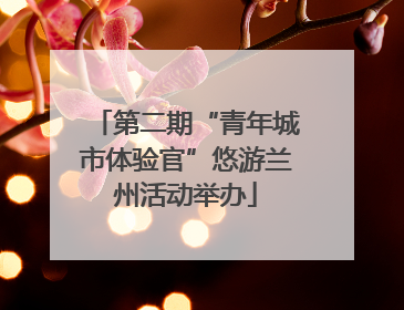 第二期“青年城市体验官”悠游兰州活动举办