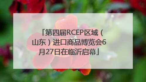 第四届RCEP区域（山东）进口商品博览会6月27日在临沂启幕