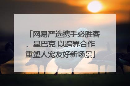 网易严选携手必胜客、星巴克 以跨界合作重塑人宠友好新场景