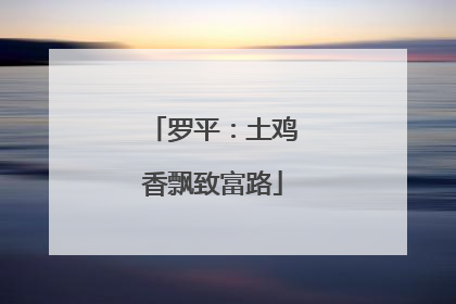 罗平：土鸡香飘致富路