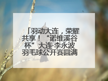 羽动大连，荣耀共享！“诺维溪谷杯”大连·李永波羽毛球公开赛圆满落幕！