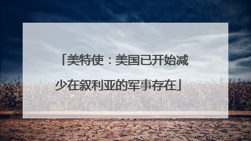 美特使：美国已开始减少在叙利亚的军事存在