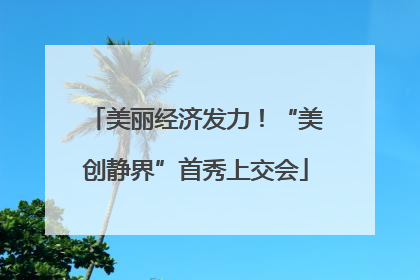 美丽经济发力！“美创静界”首秀上交会