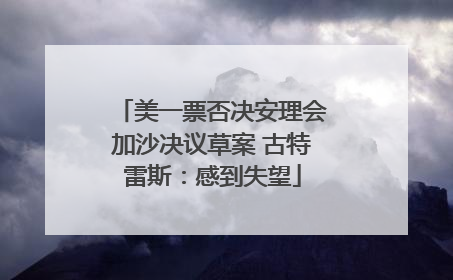 美一票否决安理会加沙决议草案 古特雷斯：感到失望