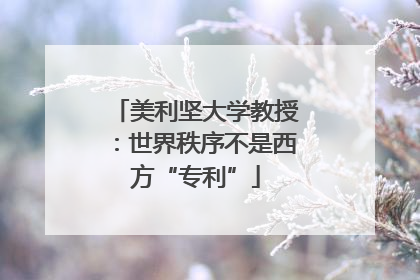 美利坚大学教授：世界秩序不是西方“专利”