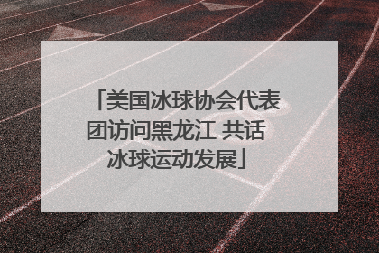 美国冰球协会代表团访问黑龙江 共话冰球运动发展